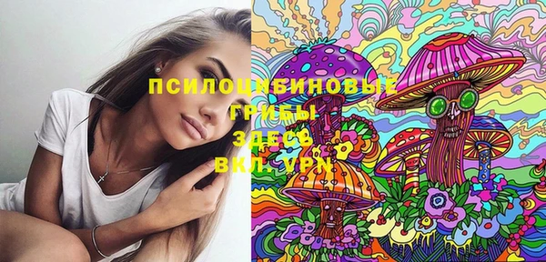 ГАЛЛЮЦИНОГЕННЫЕ ГРИБЫ Алексеевка
