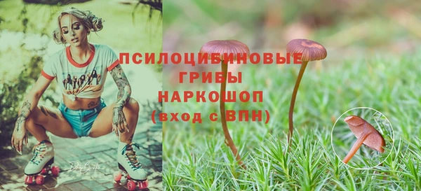 амфетамин Алексин
