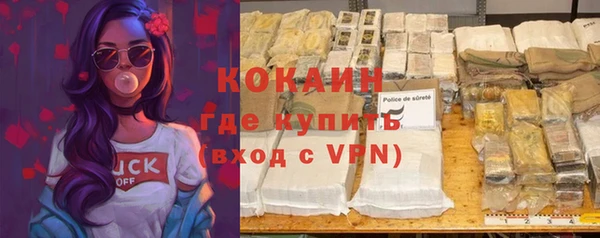 твердый Алзамай