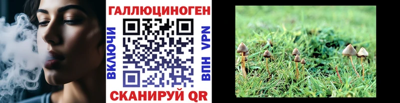 Псилоцибиновые грибы MAGIC MUSHROOMS мега зеркало Вихоревка цены наркотик